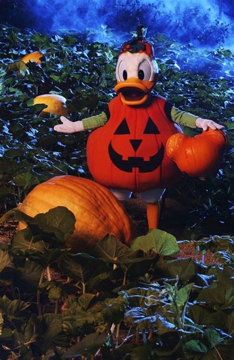 Donald Duck pumpkin | Disneyland halloween, Disney halloween, Disney world halloween