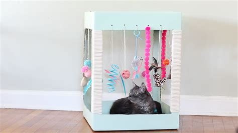 Make a Kitty Playplace Out of a Box | Cuteness.com | Homemade cat toys ...