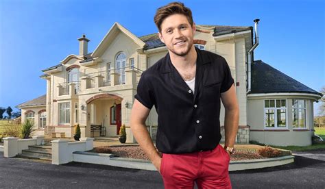 Peek inside Niall Horan's Mullingar mansion as he puts it on the market for a hefty fee - Extra.ie