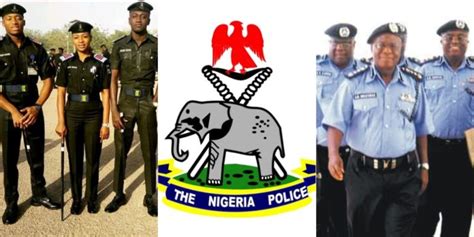 Nigerian Police Force Ranks and Salary Structure