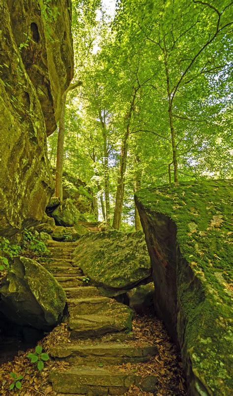 Trail in Shawnee National Forest. | Places I’d Like to Go | Pinterest