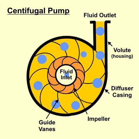 Centrifugal Pump Working Principle – StudiousGuy