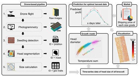 AI drones successfully monitor crops to report the ideal time to harvest