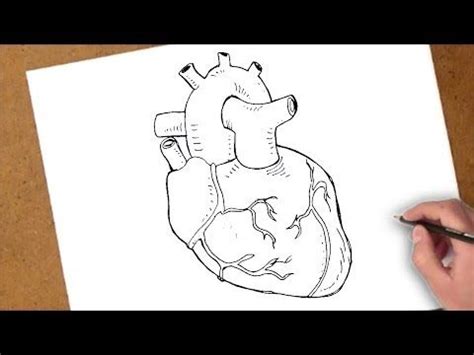 كيفية رسم قلب حقيقي - YouTube | Color drawing art, Colorful drawings ...