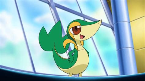 Snivy - Pokémon Image (20318657) - Fanpop