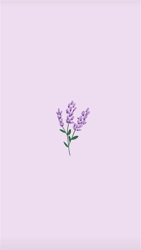 Aesthetic Purple Lavender, aesthetic purple, lavender, purple background, HD phone wallpaper ...