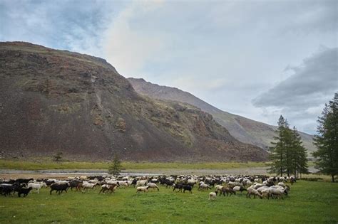 Premium Photo | Mountain valley of altai mountains fabulous landscape ...