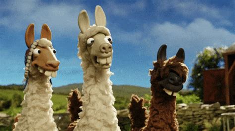 Llama Wink GIF by Shaun the Sheep - Find & Share on GIPHY