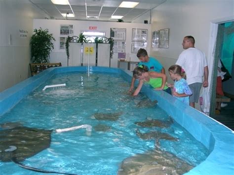 Tarpon Springs Aquarium - Tarpon Springs, FL - Kid friendly activit ...