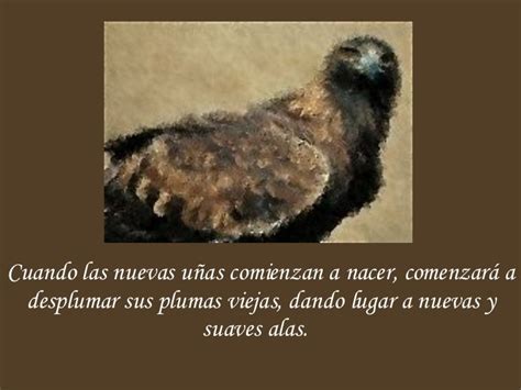 La RenovacióN Del Aguila