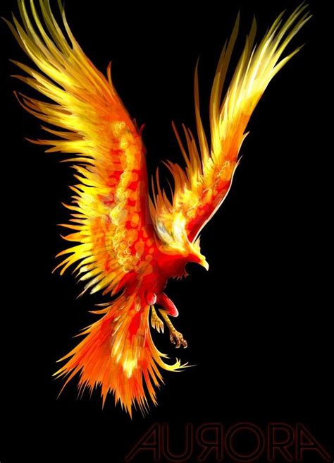 - Phoenix-Tätowierung Blog in 2021 | Phoenix tattoo, Phoenix images ...