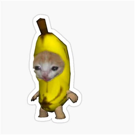 "Banana Cat Sticker " Sticker for Sale by coolbeanz07 | Redbubble