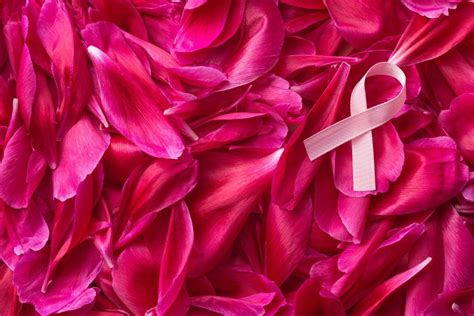 7 Breast Cancer Flowers: Beautiful Blooms For Breast Cancer Survivors - Plantisima