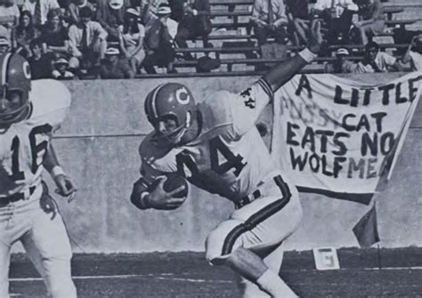 Clemson football: A history of Clemson football helmets