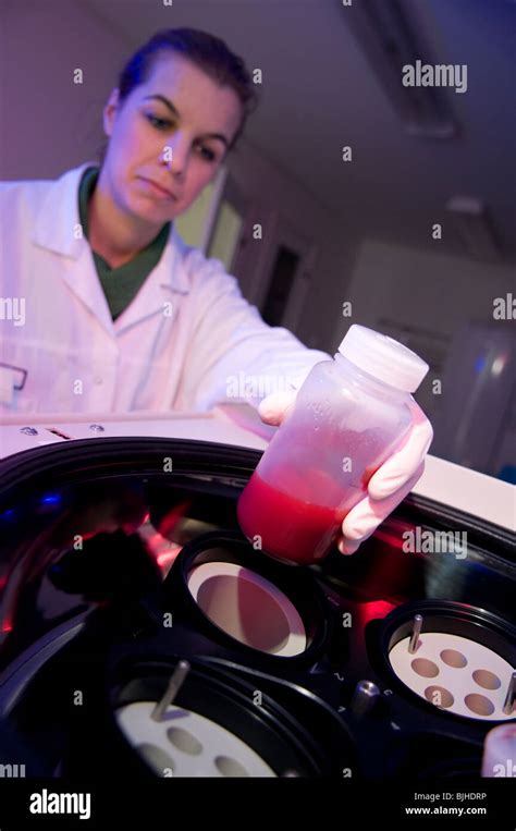 preparation of blood serum Stock Photo - Alamy