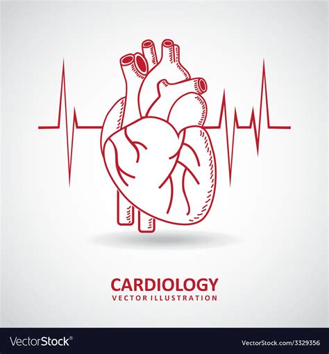 Cardiology design Royalty Free Vector Image - VectorStock