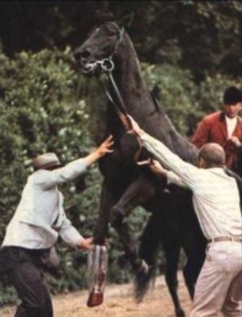 Dr Gillman and Frank Calvarese working on Ruffian with outrider Jim ...