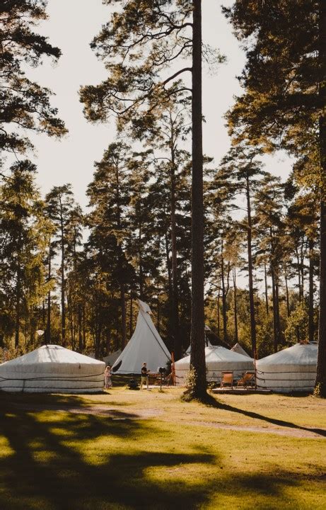 The Benefits of Investing in Glamping: Why It's a Smart Choice