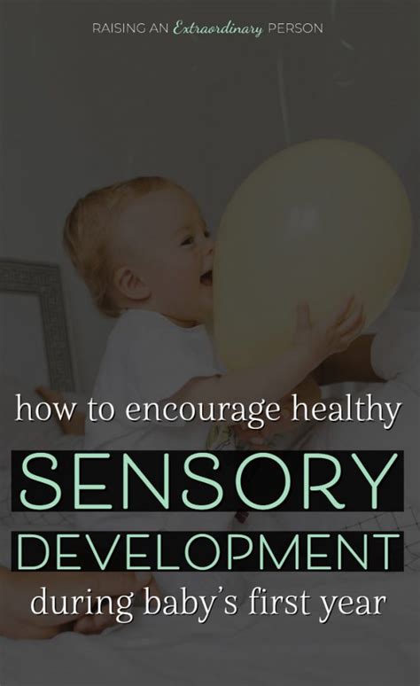 Sensory Activities for Infants - Baby Sensory Development