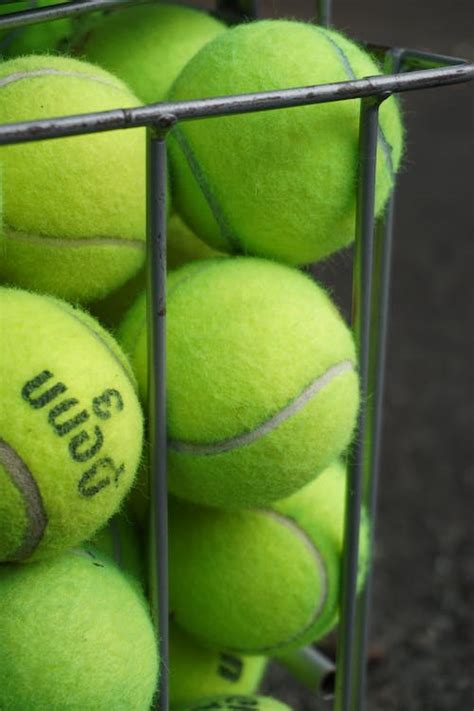 Tennis Balls in a Hopper · Free Stock Photo