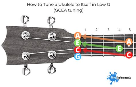 Tune Up! A Beginners Guide to Tenor Ukulele Tuning