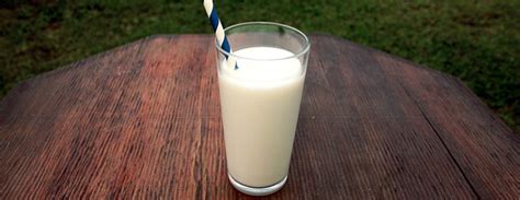 8 Best Milk Brands of America - Listrick