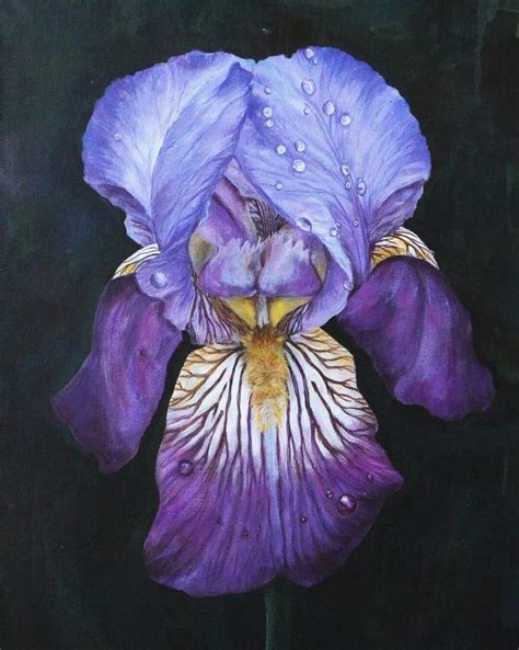 Iris painting | Ideias