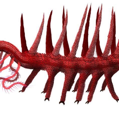 A possible new reconstruction of Hallucigenia fortis. Colour is... | Download Scientific Diagram