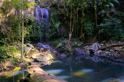 Curtis Falls in Mt Tamborine - a rainforest waterfall | Hiking the World