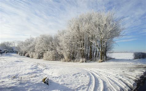 🔥 [50+] Snowy Fields Wallpapers | WallpaperSafari