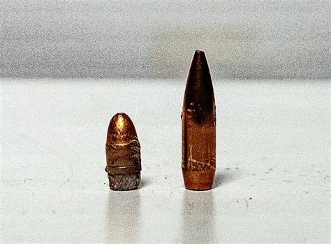 22LR vs 223 | Ballistics and Common Uses Compared