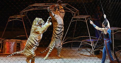 Ringling Bros. Circus Is Relaunching Without Animals