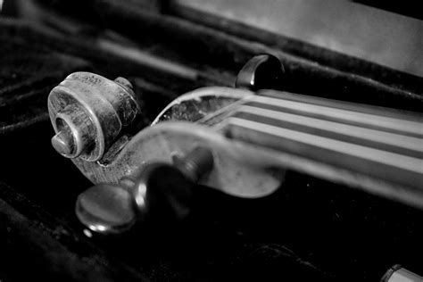 Violin Music Sound - Free photo on Pixabay - Pixabay