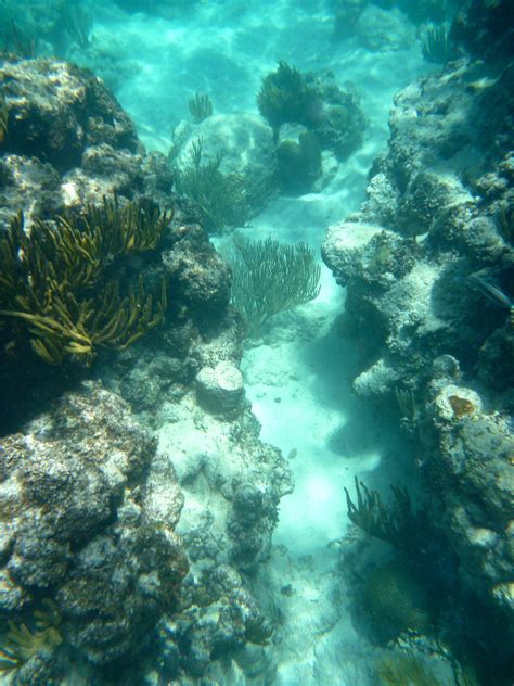 Snorkelling at Cayo Blanco | Places to visit, Snorkelling, Outdoor