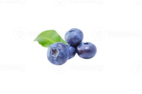 berry png transparent background 29228299 PNG