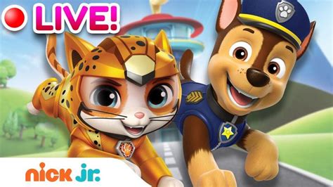 🔴 PAW Patrol & Cat Pack Teamwork Episodes & Rescues! w/ Rubble, Rory, Skye & More | Nick Jr ...