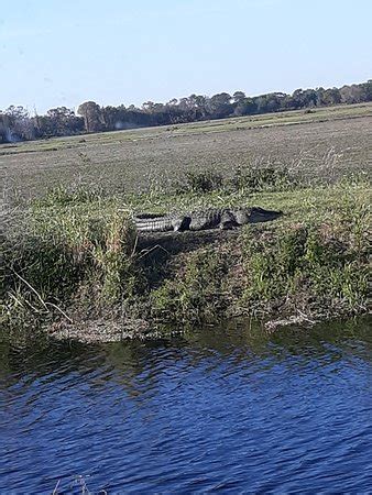 Lake Apopka Wildlife Trail - 2020 All You Need to Know Before You Go (with Photos) - Apopka, FL ...