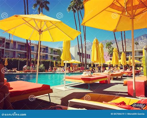 Saguaro Hotel Pool editorial stock image. Image of palm - 84706619