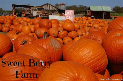 Sweet Berry Farm | Fall Pumpkin Patch near Austin, Texas