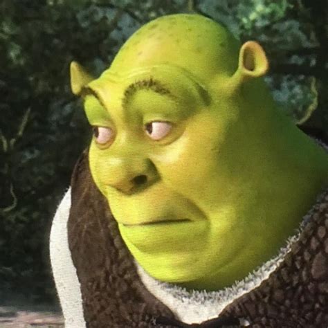 Shrek Profile Memes