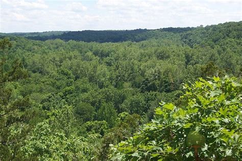 Cedar Ridge top view - The Accidental Ozarkian