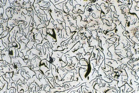 White Cast Iron Microstructure