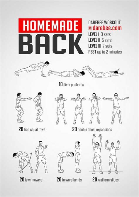 Some upper body and arms workouts - post | Back workout men, Home ...