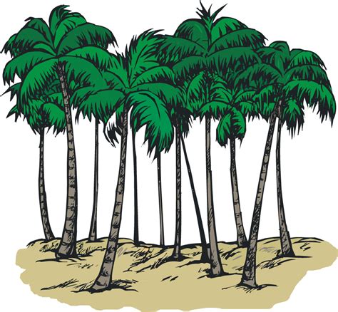 Tall trees clipart 20 free Cliparts | Download images on Clipground 2024