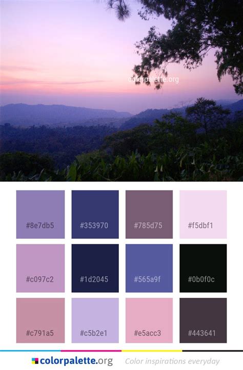 Sky Nature Dawn Color Palette #colors #inspiration #graphics #design # ...