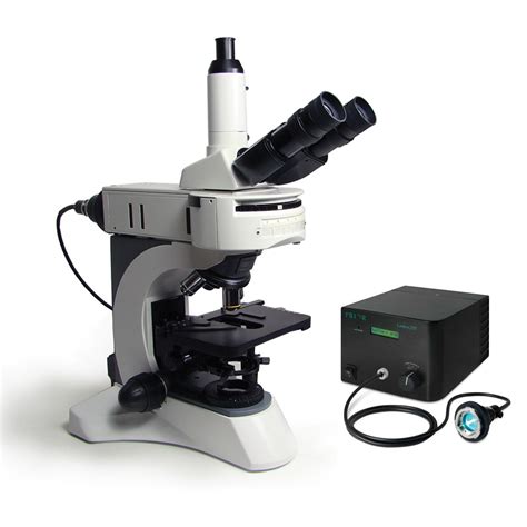 Upright Fluorescence Microscope | Polysciences, Inc.
