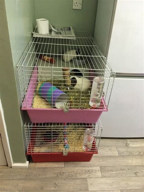 Indoor Rabbit cages x 2 | in Newbiggin-by-the-Sea, Northumberland | Gumtree