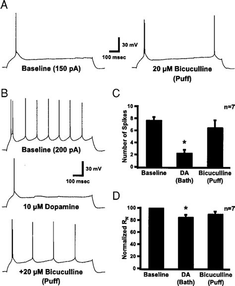 Focally applied bicuculline reverses DA-induced inhibition of spike... | Download Scientific Diagram