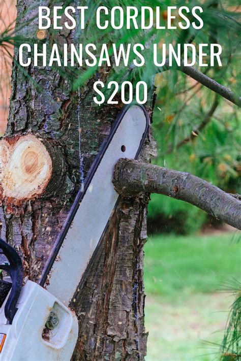 Best Cordless Chainsaws Under $200 | Cordless chainsaw, Battery powered ...