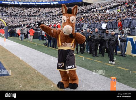 Army Football Mascot